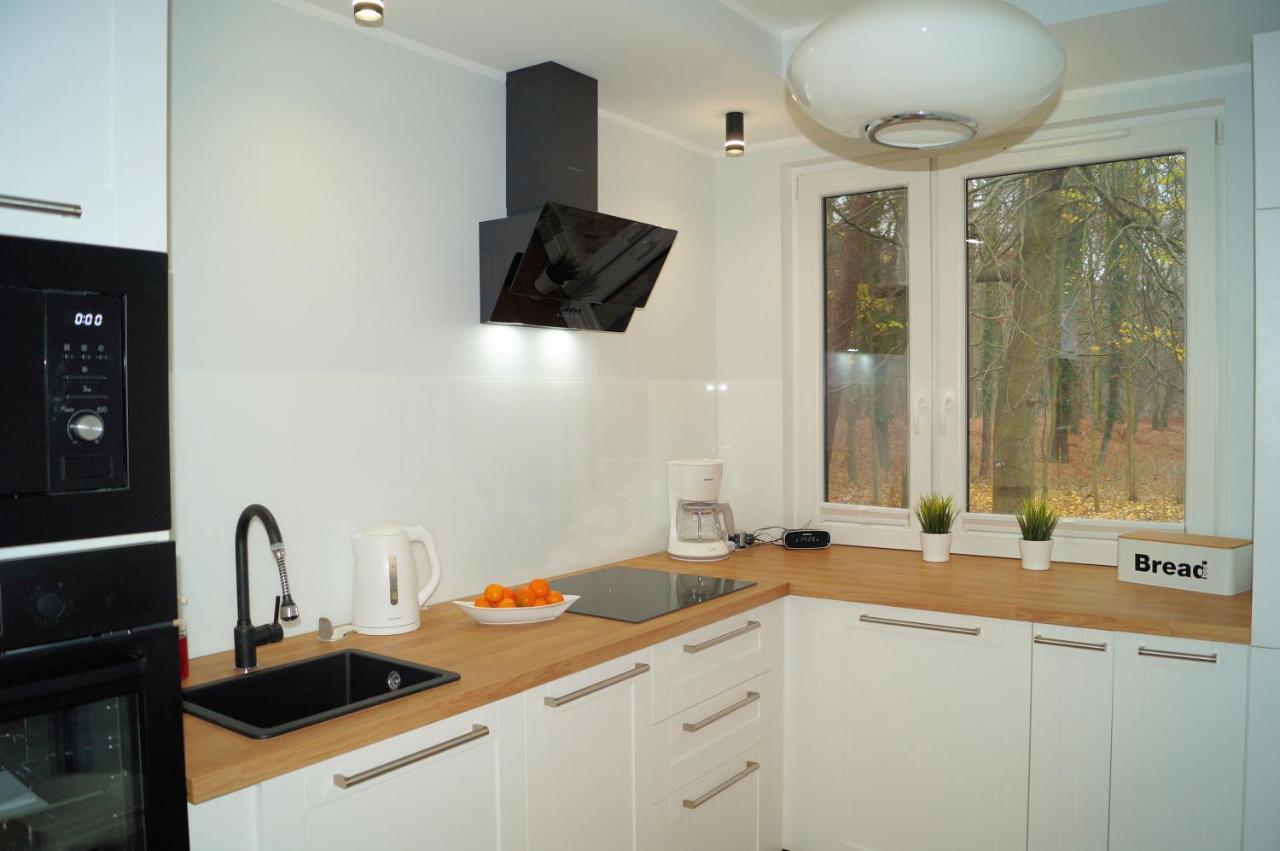 Apartament Dream-65M2 Blisko Morza 米兹多洛杰 外观 照片