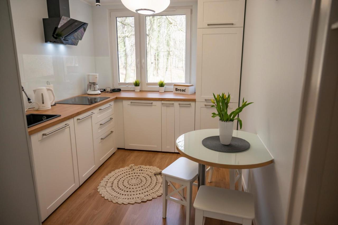 Apartament Dream-65M2 Blisko Morza 米兹多洛杰 外观 照片