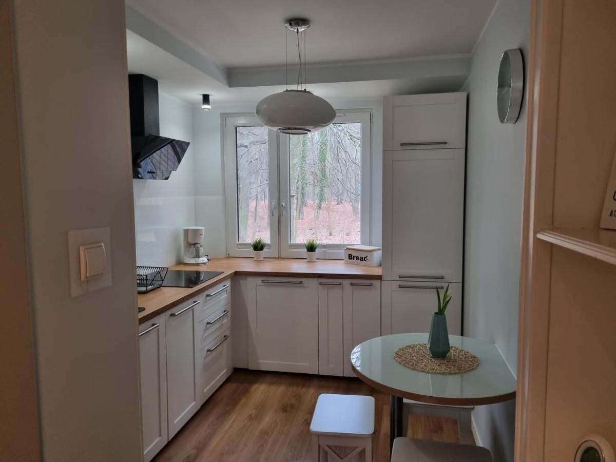 Apartament Dream-65M2 Blisko Morza 米兹多洛杰 外观 照片